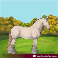 Horse Color:Perlino Dun