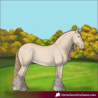 Horse Color:Perlino Dun