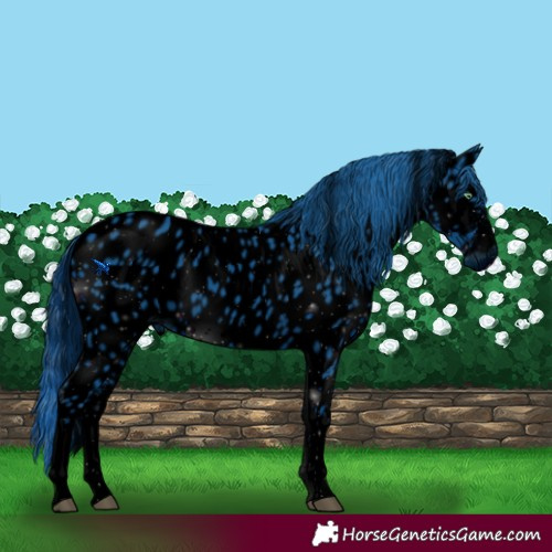 Horse Color:ERROR: UNKNOWN ANOMALY