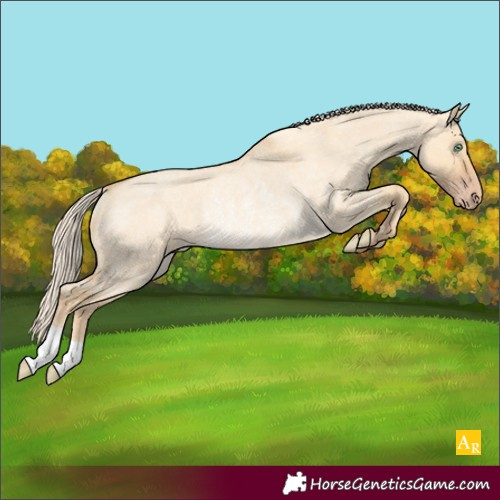 Horse Color:Unknown 