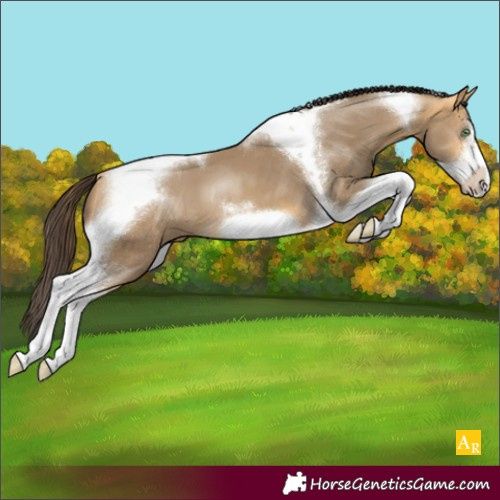 Horse Color:Amber Cream Champagne Tobiano Frame