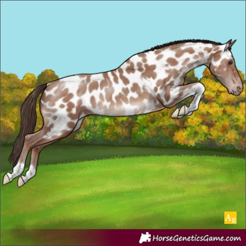 Horse Color:Classic Champagne Tobiano Near Leopard