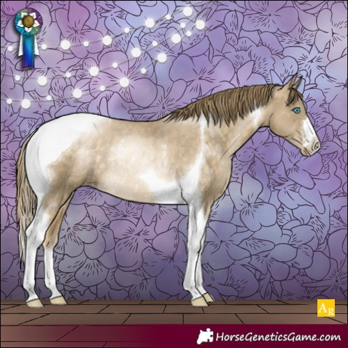 Horse Color:Buckskin Pearl Tobiano Rabicano 