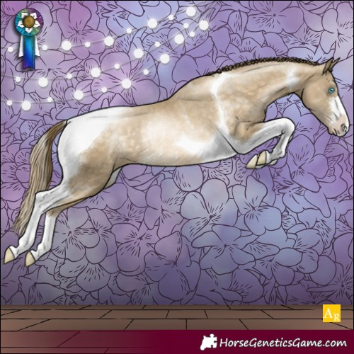 Horse Color:Buckskin Pearl Tobiano Rabicano 