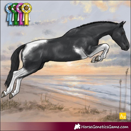 Horse Color:Black Tobiano 