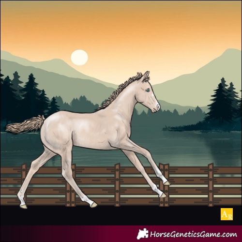 Horse Color:Smoky Creme Rabicano 