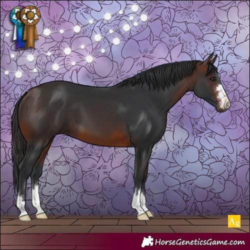Horse Color:Brown 