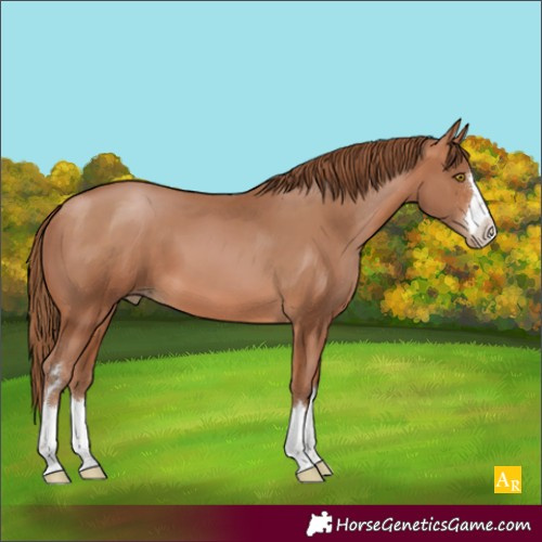 Horse Color:Brown Pearl 