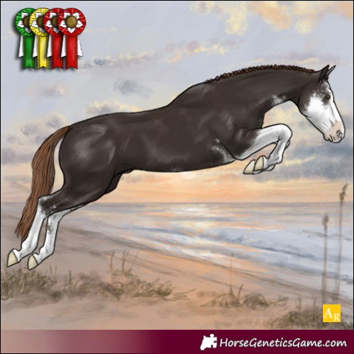 Horse Color:Liver Chestnut Sabino 