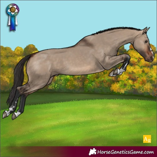 Horse Color:Bay Dun 