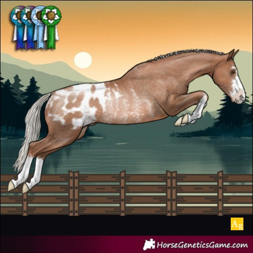 Horse Color:Silver Black Pearl Appaloosa Rabicano 