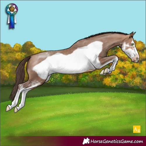 Horse Color:Amber Champagne Sabino Frame Appaloosa 