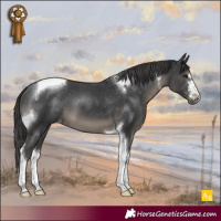 Horse Color:Black Tobiano Varnish