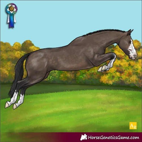 Horse Color:Brown Dun