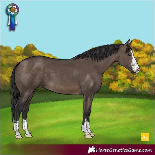 Horse Color:Brown Dun