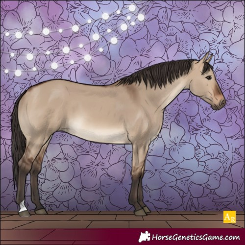 Horse Color:Brown Dun