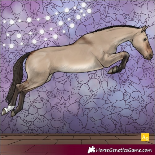 Horse Color:Brown Dun 