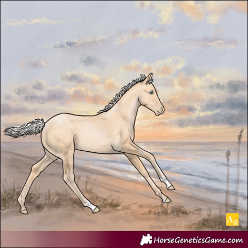 Horse Color:Silver Smoky Black Pearl
