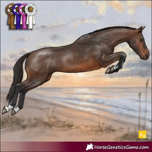 Horse Color:Brown 