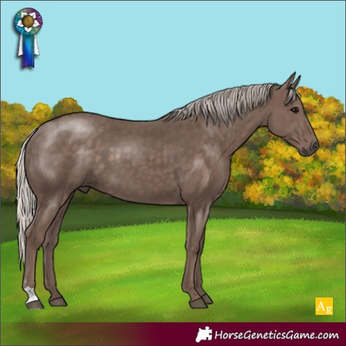Horse Color:Silver Black 