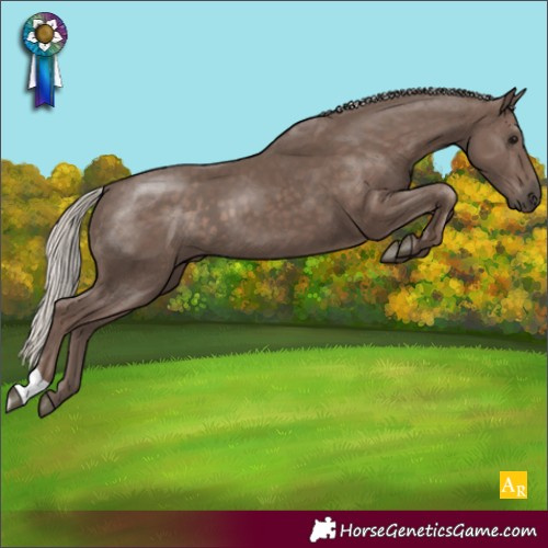 Horse Color:Silver Black