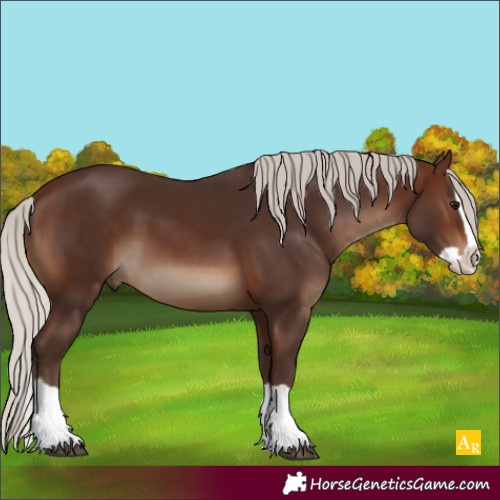 Horse Color:Silver Brown Splash 