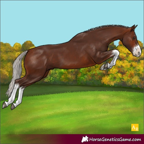 Horse Color:White Spotted Silver Bay