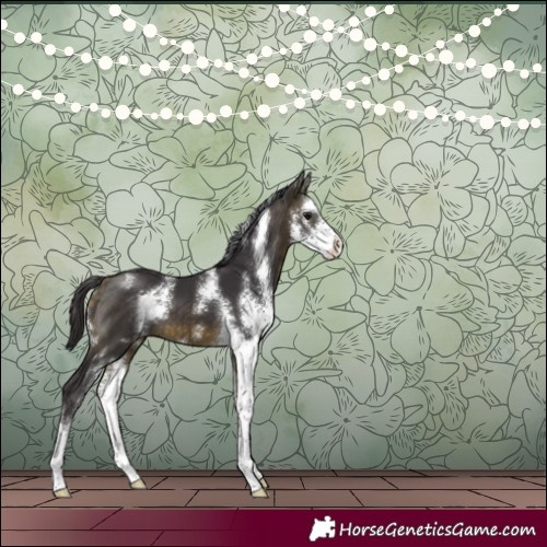 Horse Color:Buckskin Sabino 