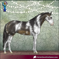 Horse Color:Buckskin Sabino