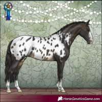 Horse Color:Buckskin Blanket
