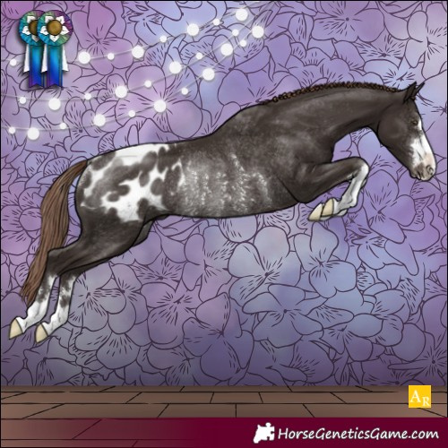 Horse Color:Liver Chestnut Blanket Rabicano