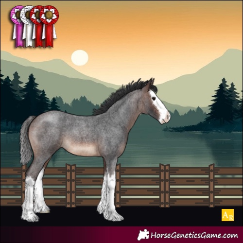 Horse Color:Brown Roan Splash 