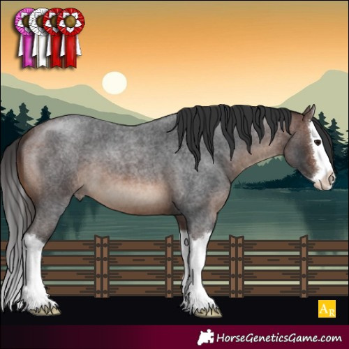 Horse Color:Brown Roan Splash 