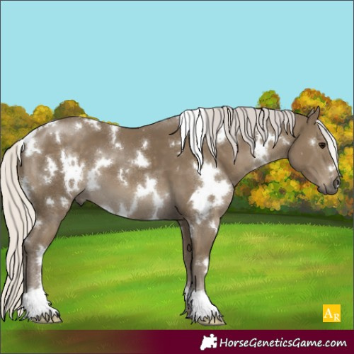 Horse Color:White Spotted Silver Smoky Black 
