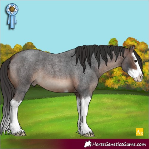 Horse Color:Brown Roan Splash 