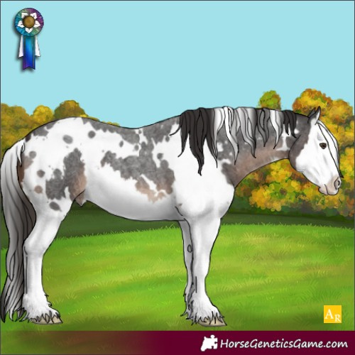 Horse Color:White Spotted Liver Red Roan Splash