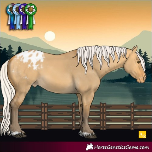 Horse Color:Silver Buckskin Dun Varnish 