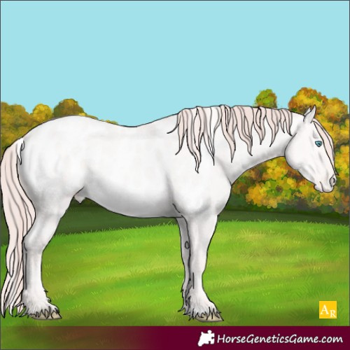 Horse Color:White Spotted Perlino Dun Blanket 