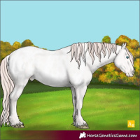 Horse Color:White Spotted Perlino Dun Blanket