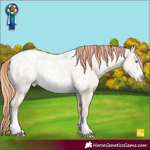 Horse Color:Classic Cream Champagne Pearl Dun Appaloosa 