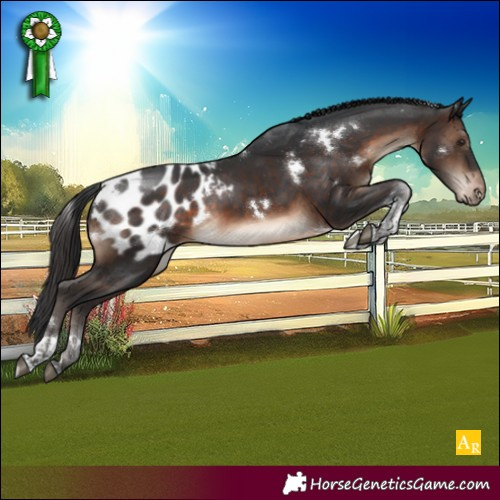 Horse Color:White Spotted Brown Tobiano Appaloosa Rabicano