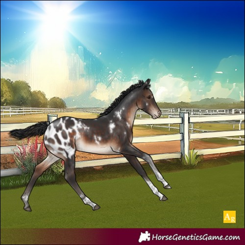 Horse Color:White Spotted Brown Tobiano Appaloosa Rabicano 