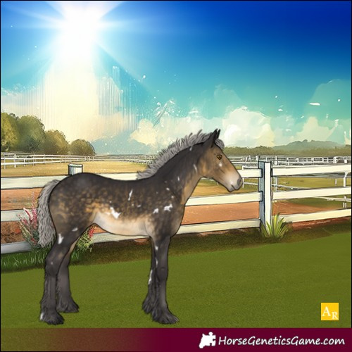 Horse Color:White Spotted Silver Buckskin 