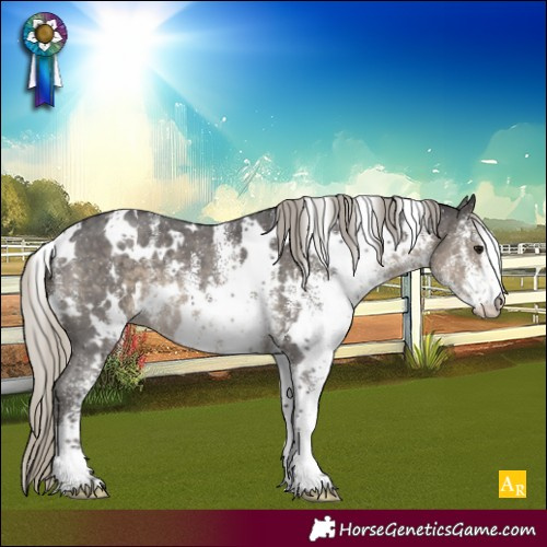 Horse Color:White Spotted Silver Smoky Black 