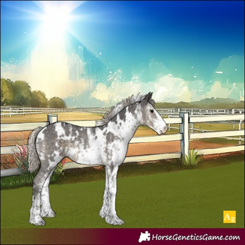 Horse Color:White Spotted Silver Smoky Black