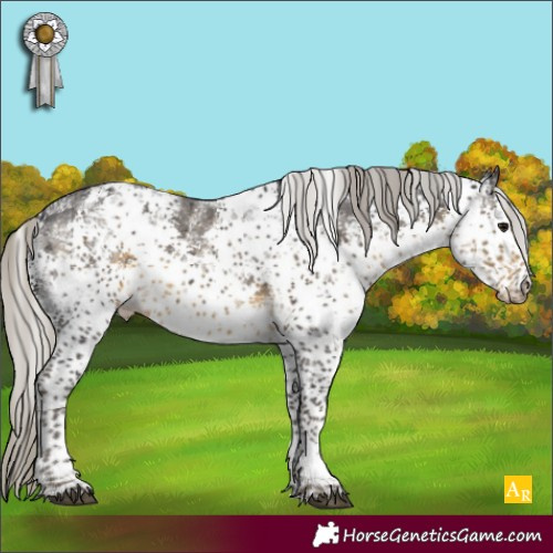 Horse Color:White Spotted Silver Smoky Black Sabino