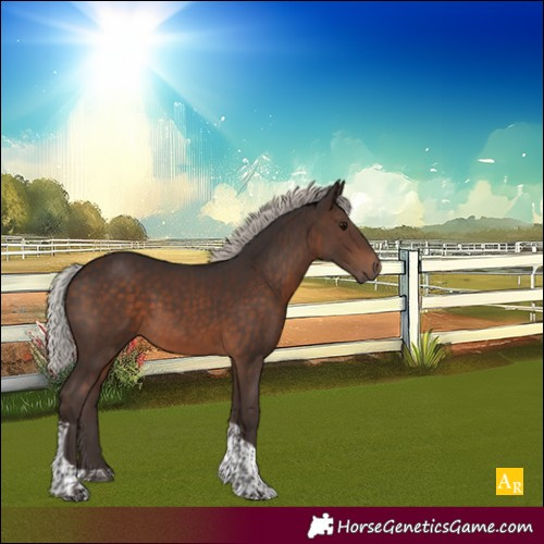 Horse Color:Silver Brown Tobiano 