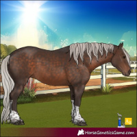 Horse Color:Silver Brown Tobiano 