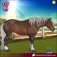 Horse Color:Silver Brown Tobiano 