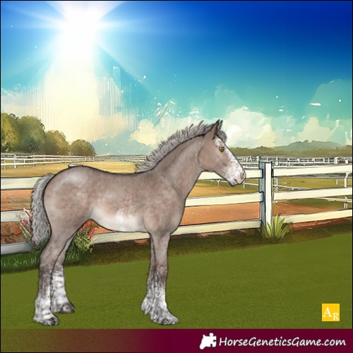 Horse Color:White Spotted Silver Brown Dun Mushroom 